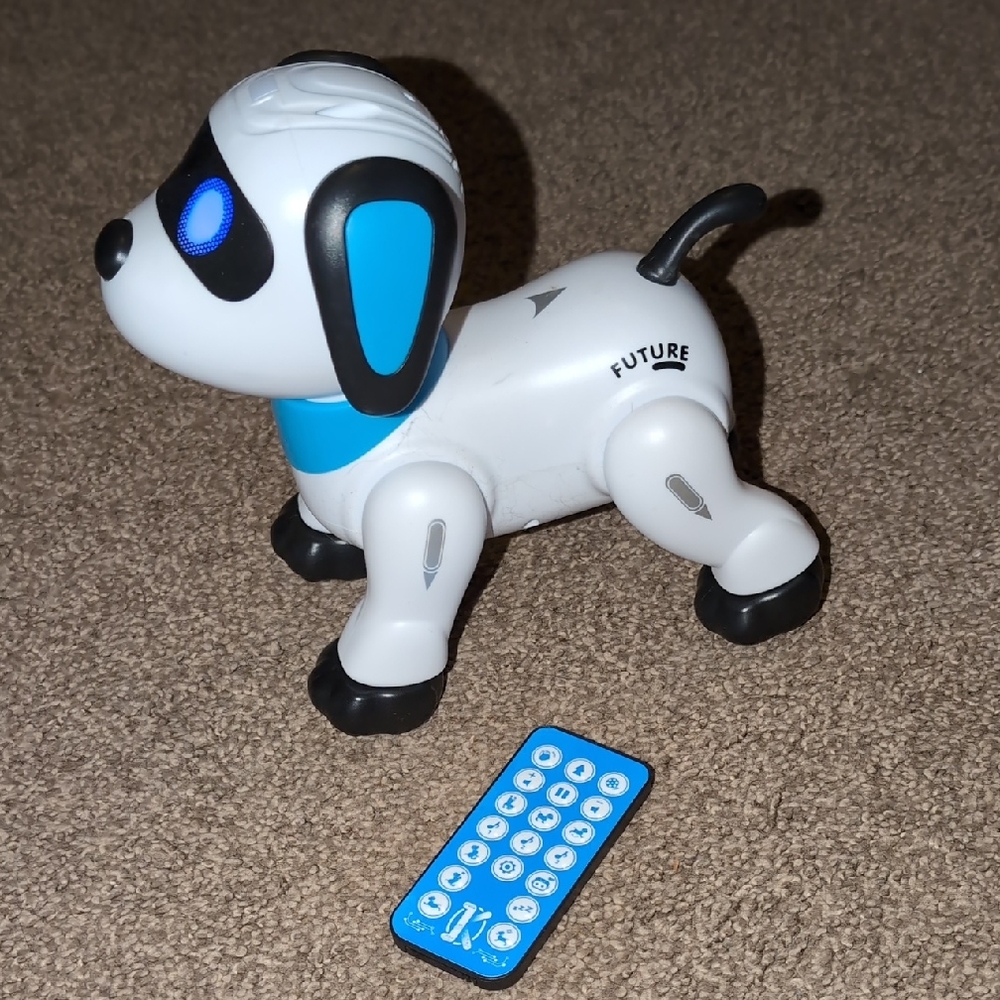 Robot Dog